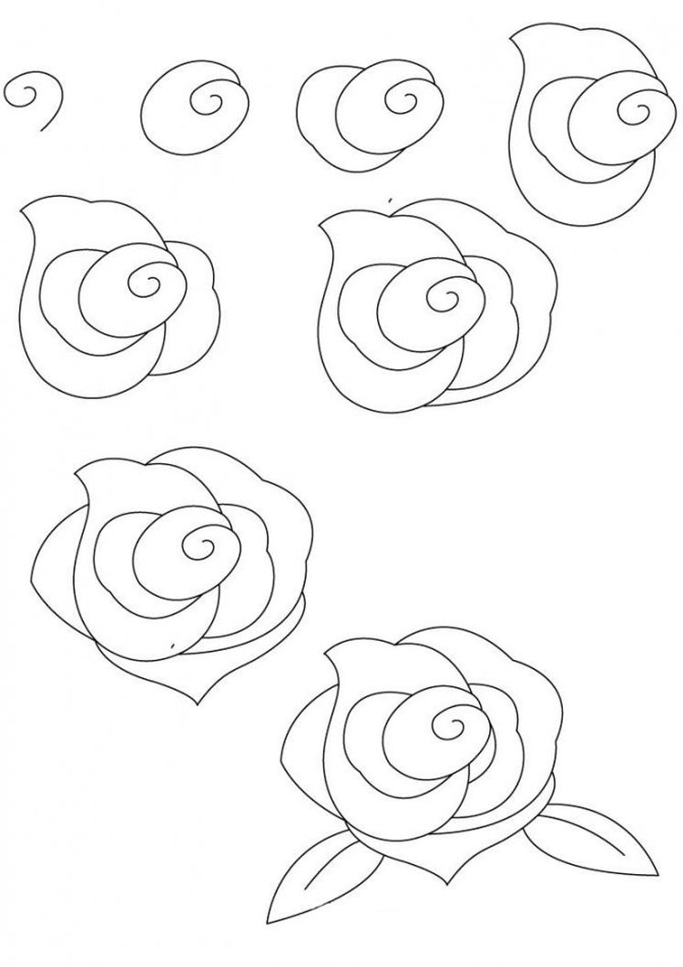 Какие рисунки можно нарисовать карандашами. Рисунки для срисовки цветы легкие. Поэтапное рисование розы. Цветы рисунок карандашом для срисовки для начинающих. Рисунки розы карандашом для начинающих.