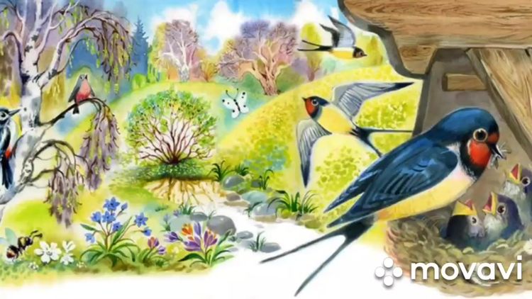 Весенние птицы картинки для детского сада — шаблоны.
